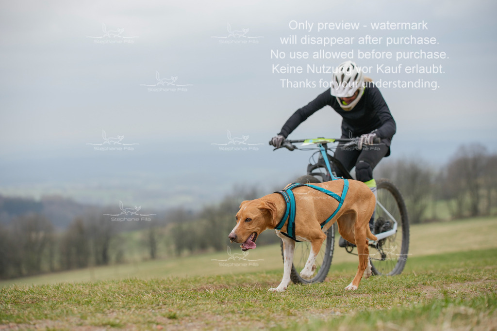 BikeSA-310 | stephaniefillaphotographie - Realisiert mit Pictrs.com