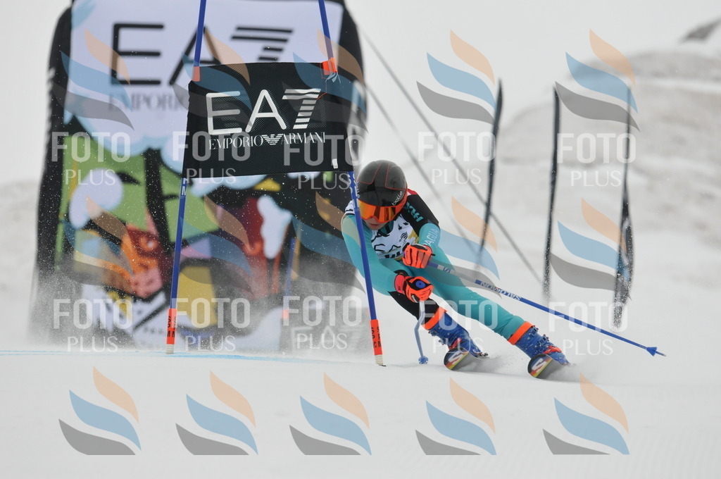 DSC_8403 | holidayphoto