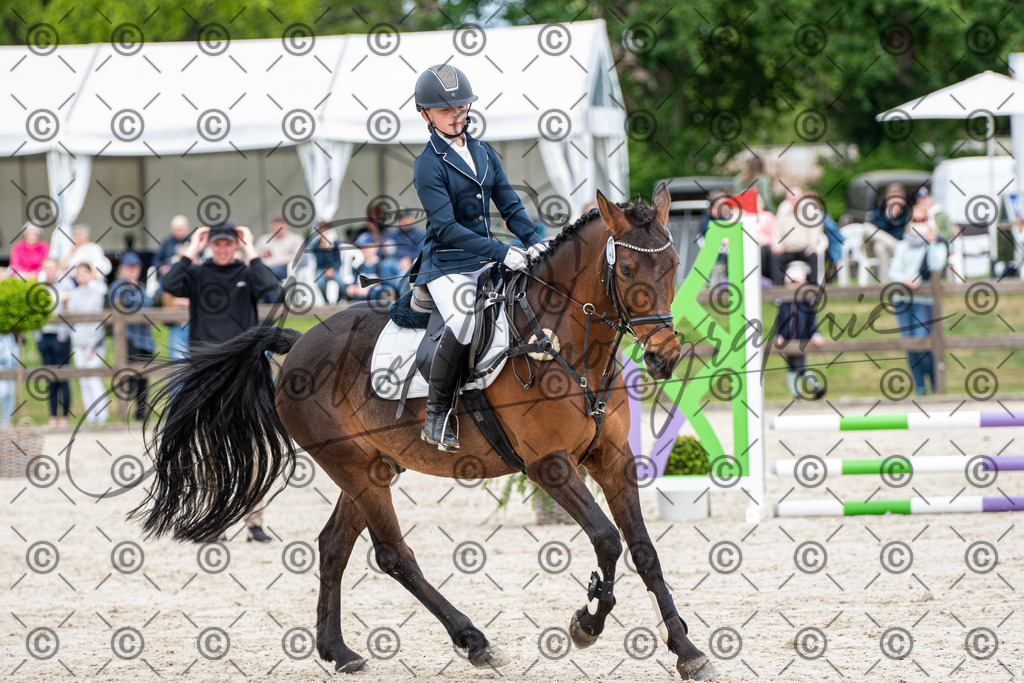 KPT_5853 | andre_photographic