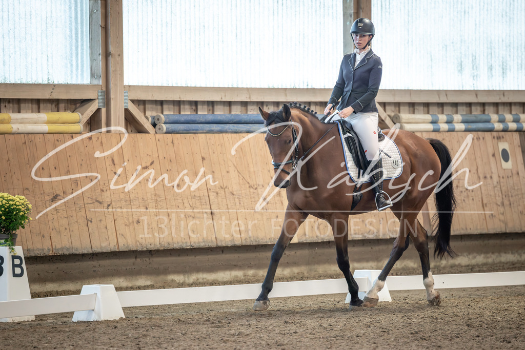 20251011-_3LI6062 | Tierfotografie Pferde, Hunde, Katzen, Haustiere.
Turnierfotografie Reitturniere, Reiten, Springreiten, Dressur in Hanau, dem Main-Kinzig-Kreis und dem Rhein-Main- Gebiet um Frankfurt