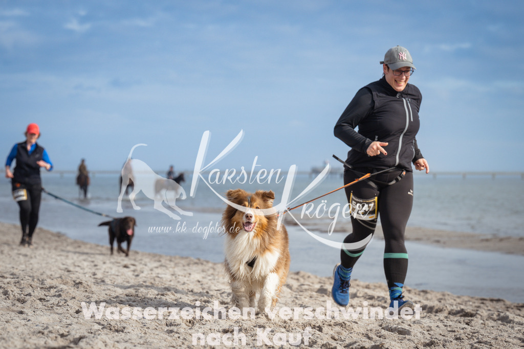 1235_ZZ97345 | kk-dogfotos