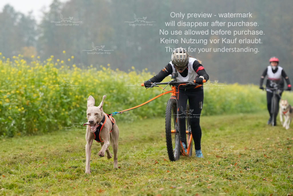 Visbeck_Sa_Scooter_Hc-67 | stephaniefillaphotographie - Realisiert mit Pictrs.com