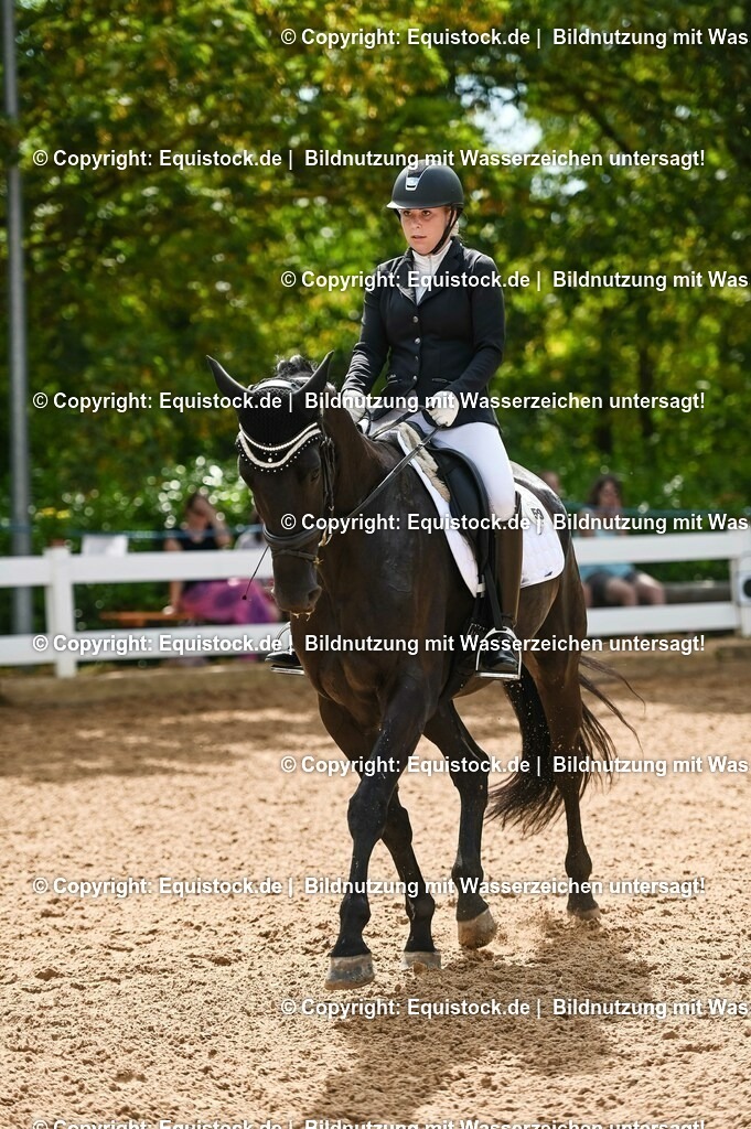 20230715_07_Dressurpferdeprfg. Kl.L_0149 | equistock
