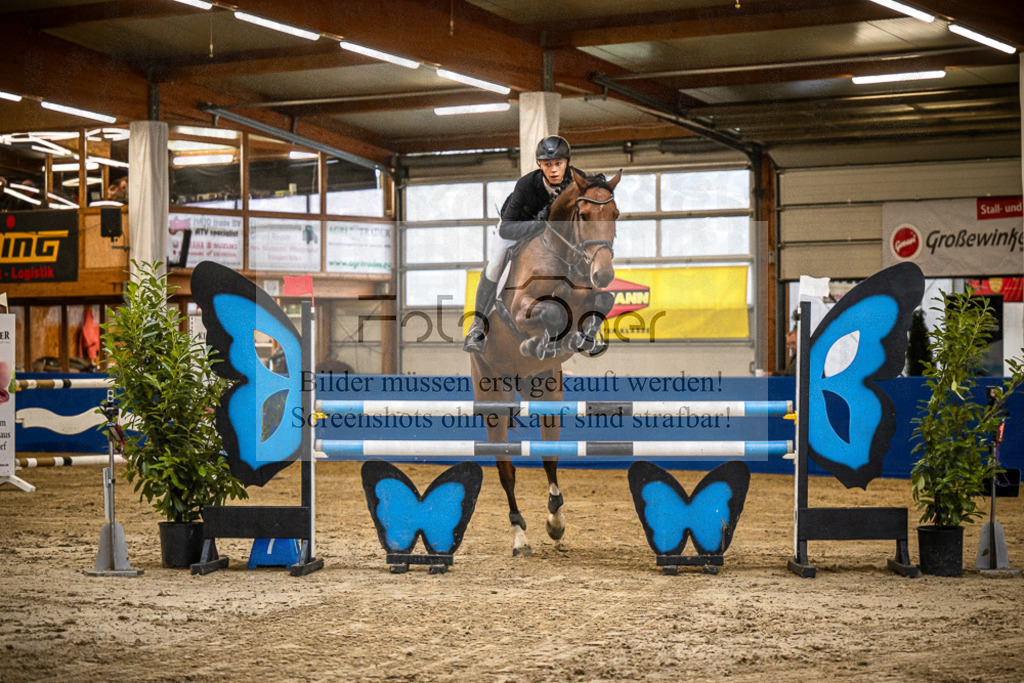 DOS_B1169 | Entdecke hochwertige Reitturnierfotos von Foto Oger. Professionell, emotional und authentisch – jetzt Lieblingsmomente im Shop bestellen.Deutschlandweite Turnierfotografie. - Realisiert mit Pictrs.com