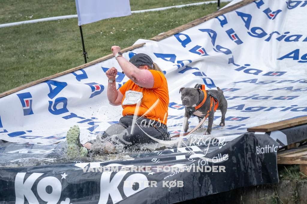 1129_ZZ92556 | kk-dogfotos