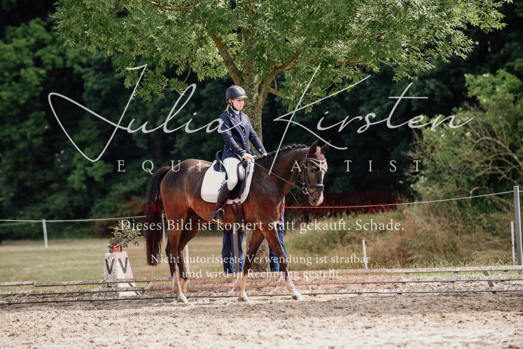 DSC_0087 | Pferde- und Turnierfotografie in Westsachsen. Pferdeportraits, Auftragszeichnungen und intuitive Kunst.