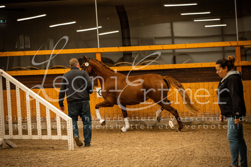 1FS_L00035 | Leoni Ertmer Photography - Realisiert mit Pictrs.com