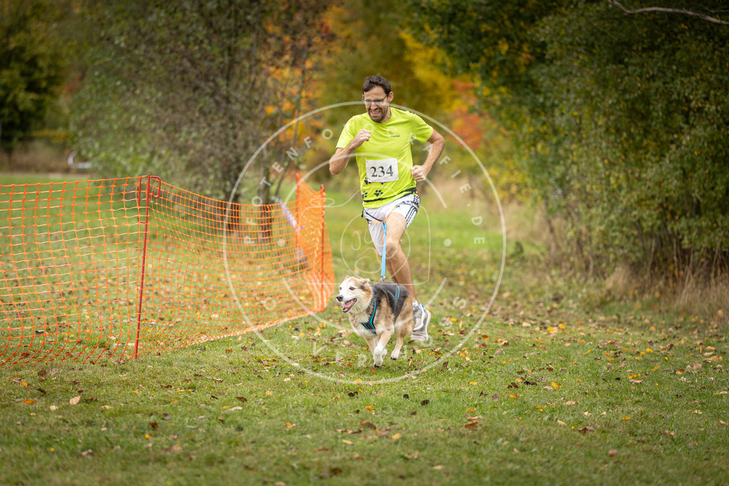 Pfotenfotografie_DV3A4385 | Hundefotografie, Tierfotograf, Pfotenfotografie, Fotoshooting Hund, Hunde Portrait, Hundesport, Hundeportraits, Heideshooting, Hunde, Sportfotograf, Hundefotograf, Turnierhundsport, THS,  - Realisiert mit Pictrs.com
