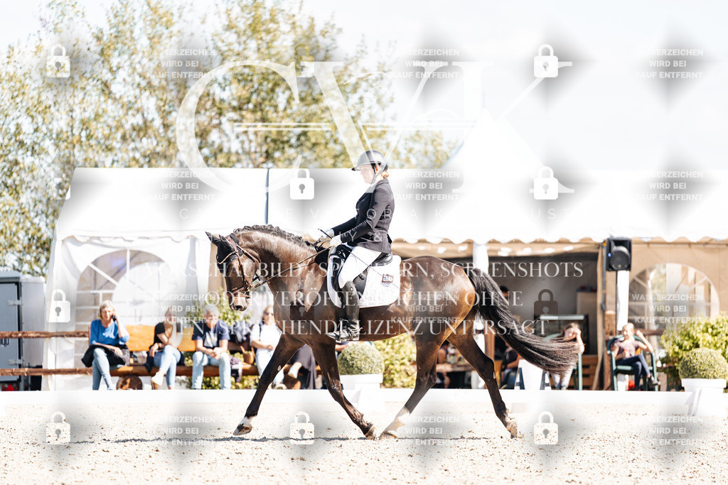 CK903557 | Turnierfotografie Pferdefotografie Trier Rheinland-Pfalz Pferdesport Reitsport Tierfotografie Sportfotografie Pferdevideo Pferdevideografie Equestrianvideography equestrianphotography  - Realisiert mit Pictrs.com