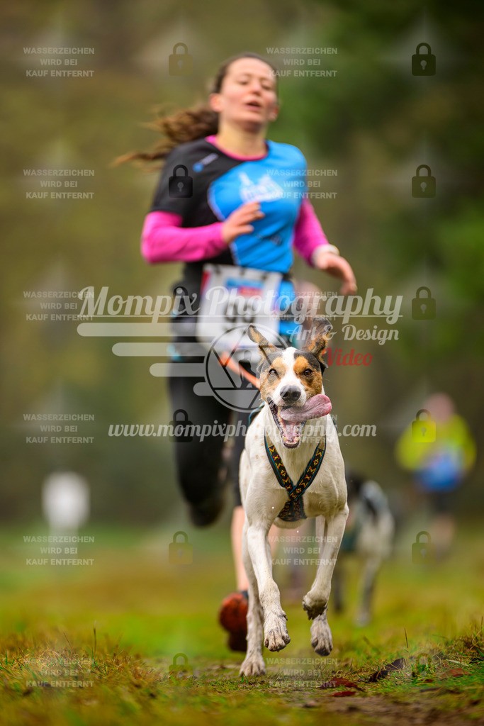 MompixPhotography_Bischwiller2025_Canicross-25 | mompixphotography