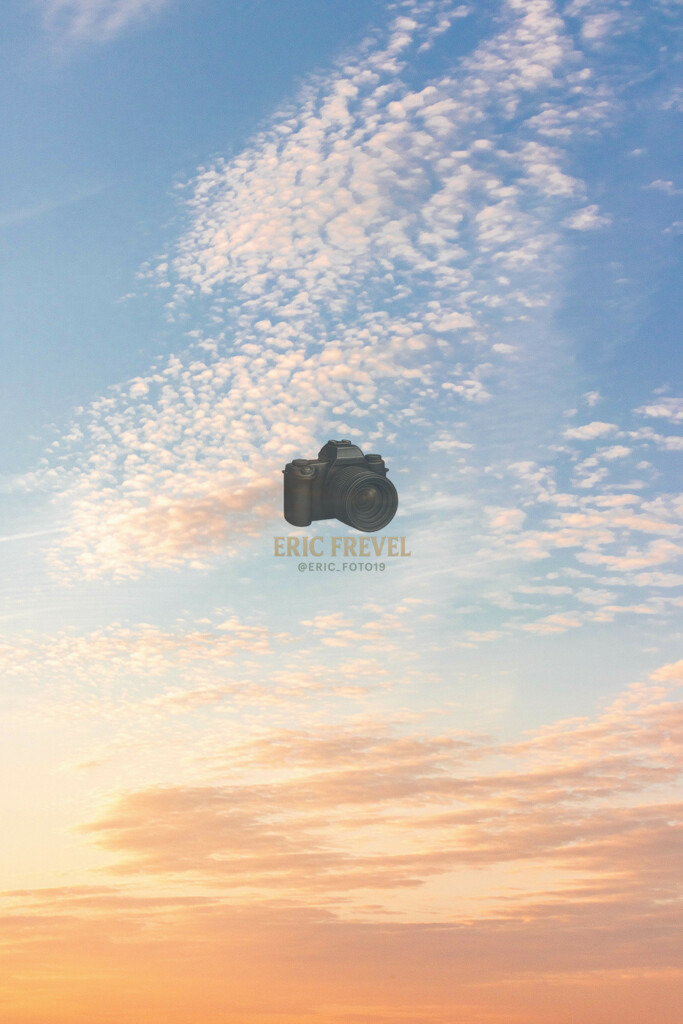 _MG_0410 | Photography by Eric Frevel - Realisiert mit Pictrs.com