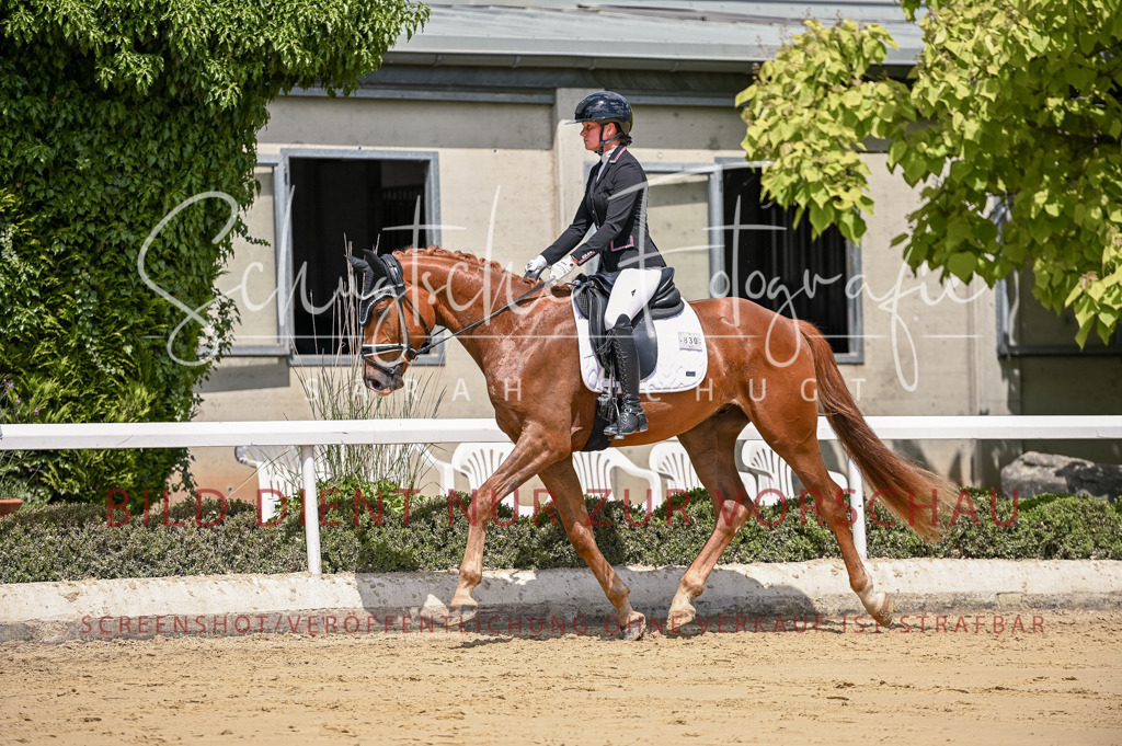 Schugtsche-Aluta25-48.Reitpferfdeprf.-280 | Schugtsche Fotografie - Realisiert mit Pictrs.com