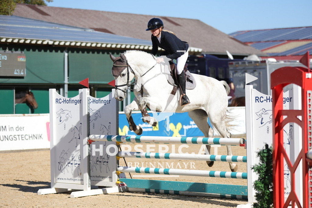 0P6A0913 | Willkommen bei Brunnmayr - Design & Fotografie – Ihrem Spezialisten für Reitturniere und Pferdeveranstaltungen in Oberösterreich, Salzburg und Bayern! Seit über 17 Jahren sind wir leidenschaftlich dabei.