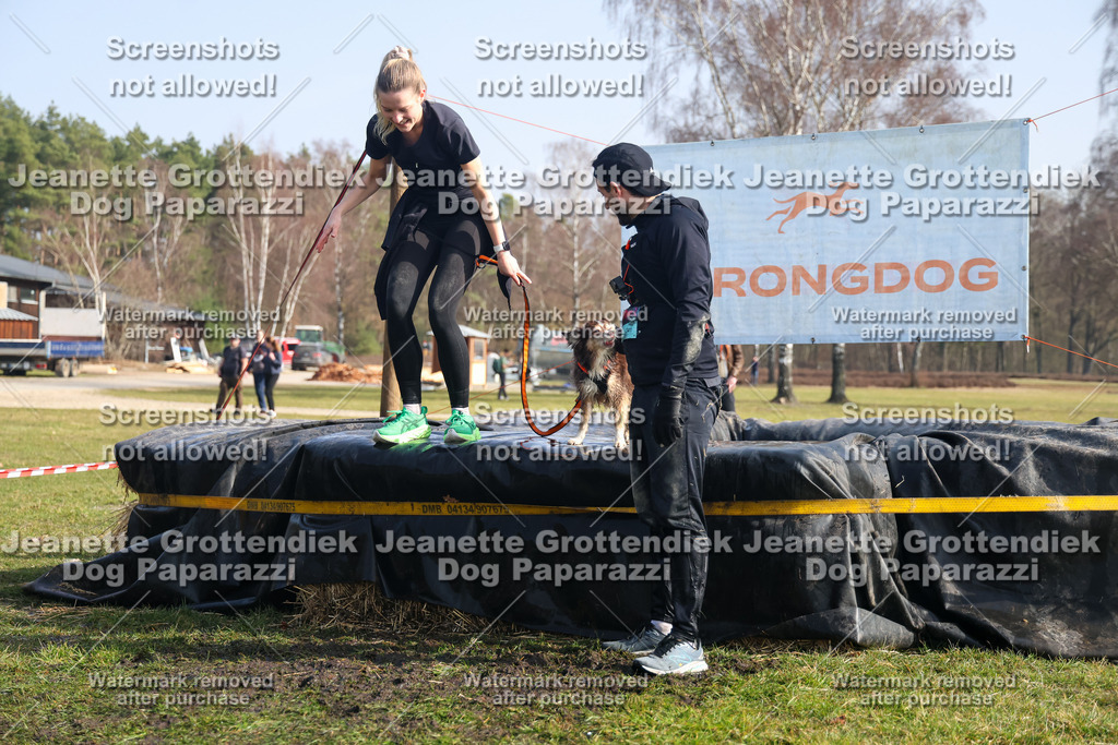 Dog Paparazzi - Strongdog North Mrz26-1660 | Dog Paparazzi Jeanette Grottendiek Fotografie & Videografie - Realisiert mit Pictrs.com