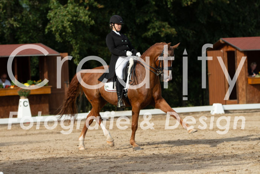 IMG_4582 | Creatify Fotografie