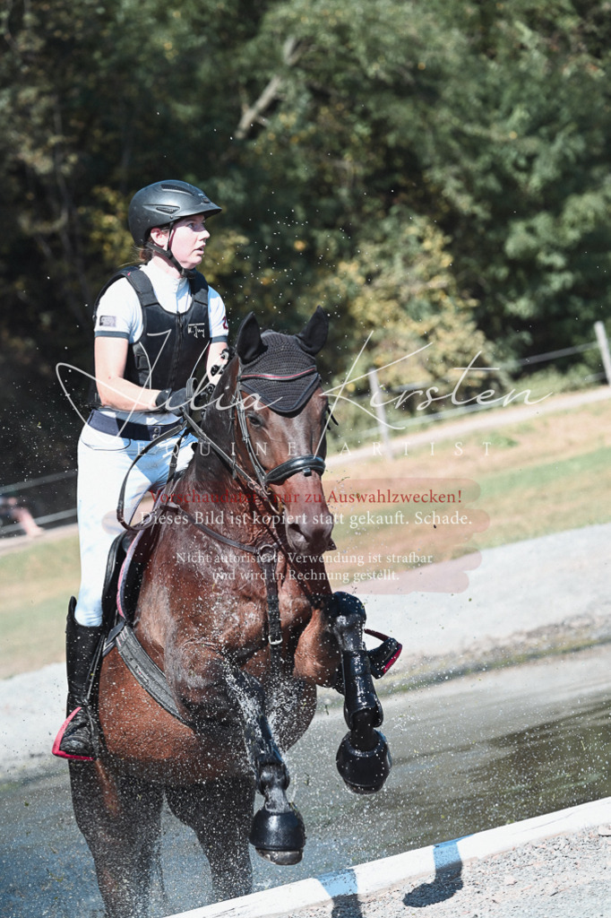 DSC_8568 | Pferde- und Turnierfotografie in Westsachsen. Pferdeportraits, Auftragszeichnungen und intuitive Kunst.