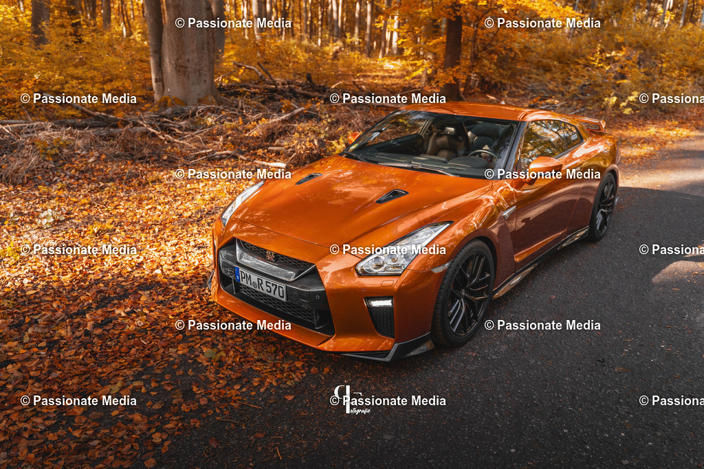 DSC06319 | Passionate Media, dein Fotograf aus Brandenburg, Märkisch Oderland, im Bereich Motorsport, Autos und Motorräder sowie Events und auch Hunde. Shootings oder auch Eventbegleitungen können bei mir gebucht we