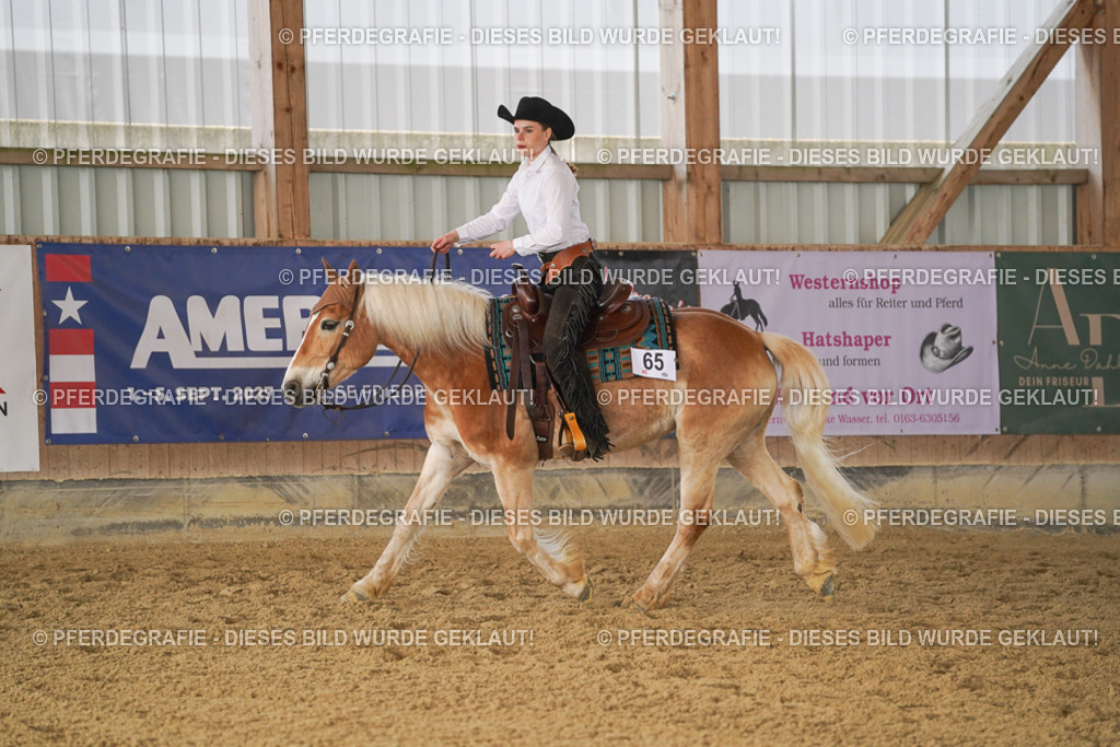 DSC01235 | Pferdegrafie