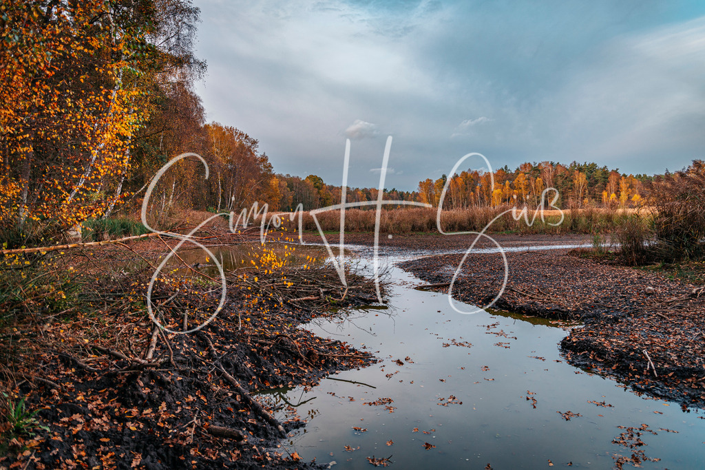 NSG bei Schwandorf | simonsuess - Realisiert mit Pictrs.com