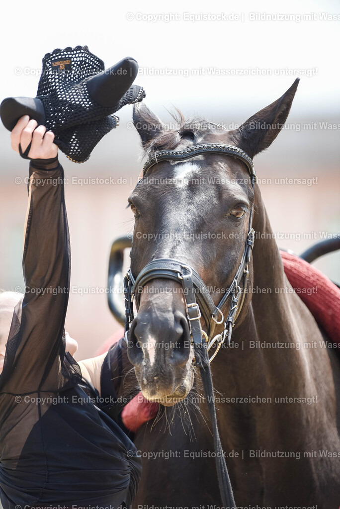 20250608_CVI-Masterclass_0834 | Foto: Thomas Hartig