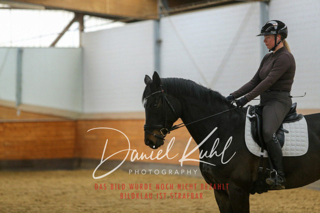 IMG_3722 | Turniersportfotografie; Pferdefotografie; Dressurfotografie