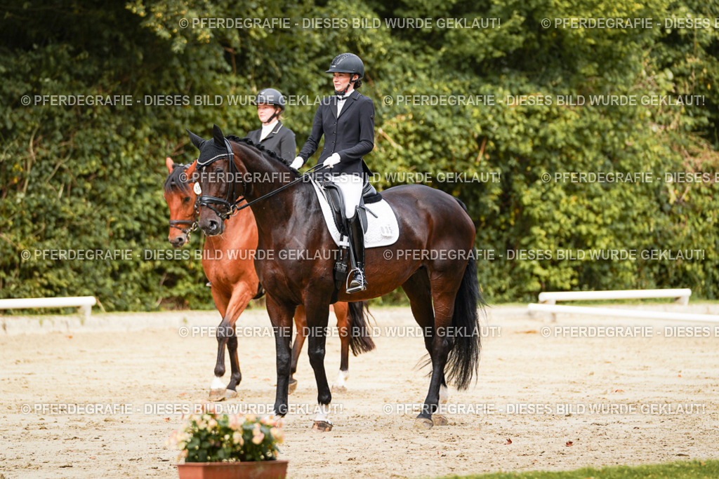 DSC01855 | Pferdegrafie