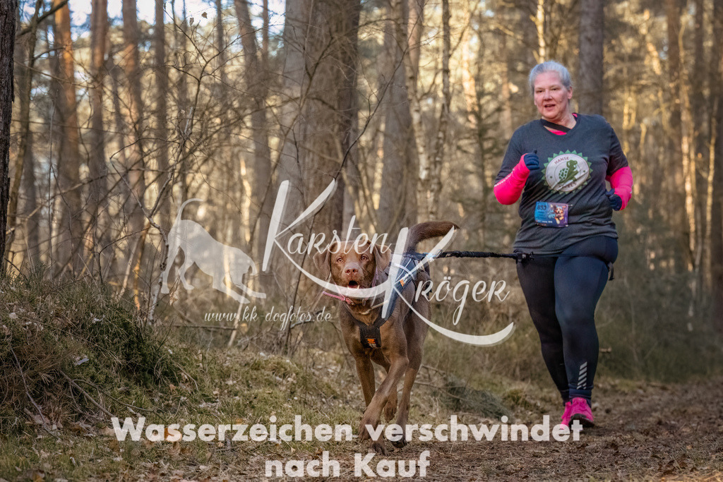 0822_ZZ90734-Bearbeitet | kk-dogfotos