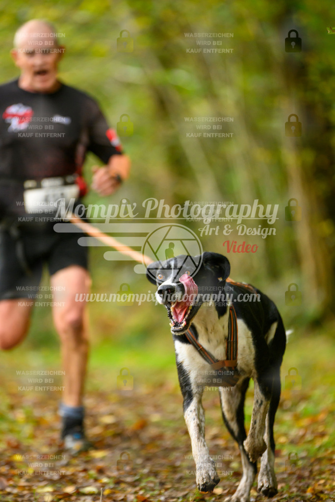 MompixPhotography_20TSB_E1_Run-43 | PayLife