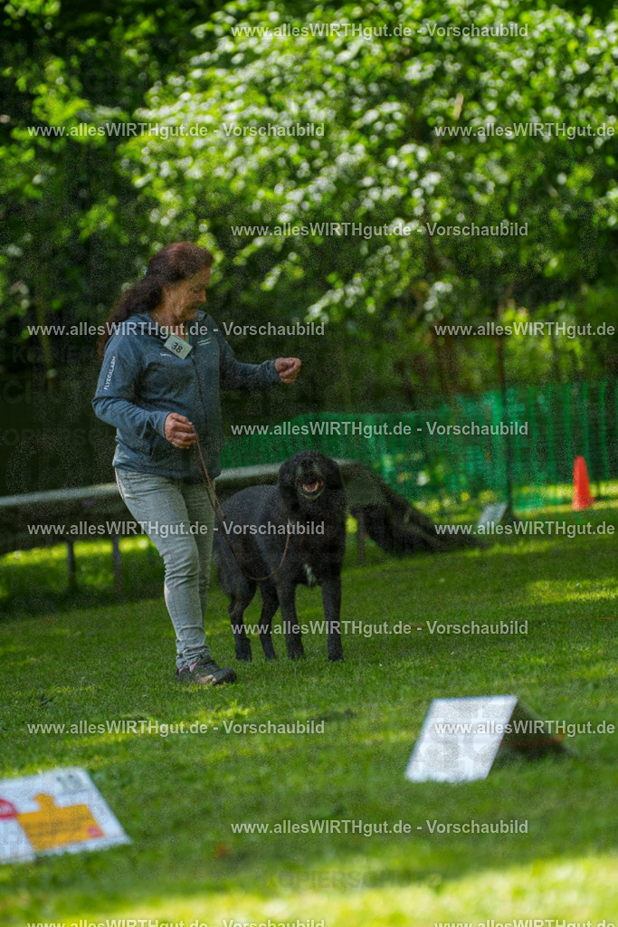 @allesWIRTHgut_Tierfotografie - www.allesWIRTHgut.de - 7R504700 | Professionelle Tierfotografie in Mönchengladbach von Daniel Wirth (allesWIRTHgut). Liebevolle & natürliche Bilder von Hunden & Katzen für unvergessliche Erinnerungen.