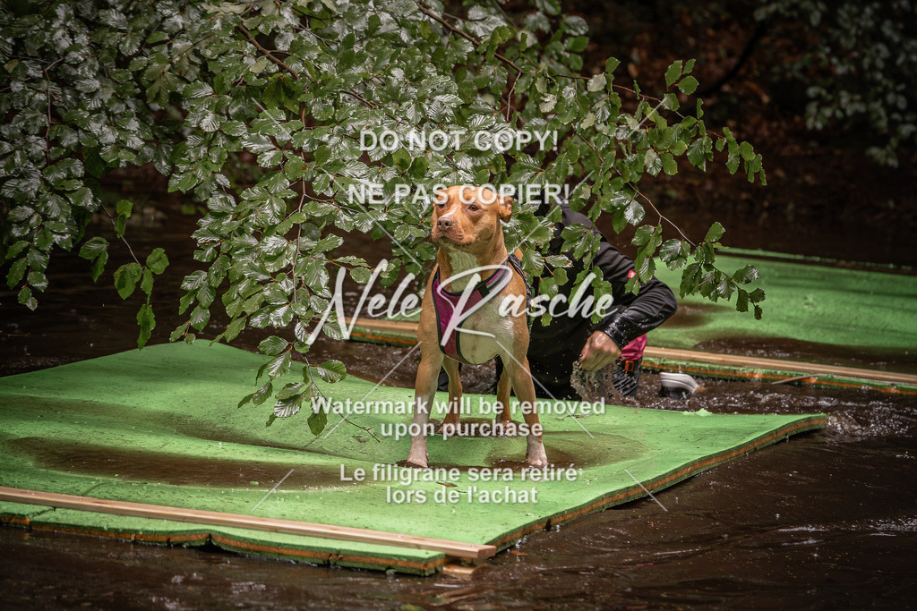 nelerasche_Wingst_Sa1330-1400_17 | nelerasche
