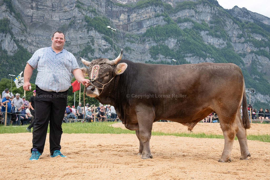 Schwingen -  Glarner Bündner 2024 | Glarus, 20.5.24, Schwingen - Glarner Bündner.
