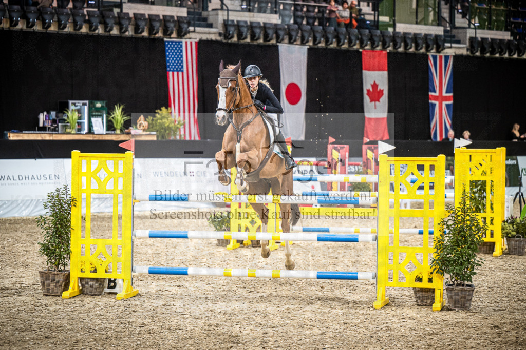 DOS_0908 | Entdecke hochwertige Reitturnierfotos von Foto Oger. Professionell, emotional und authentisch – jetzt Lieblingsmomente im Shop bestellen.Deutschlandweite Turnierfotografie. - Realisiert mit Pictrs.com