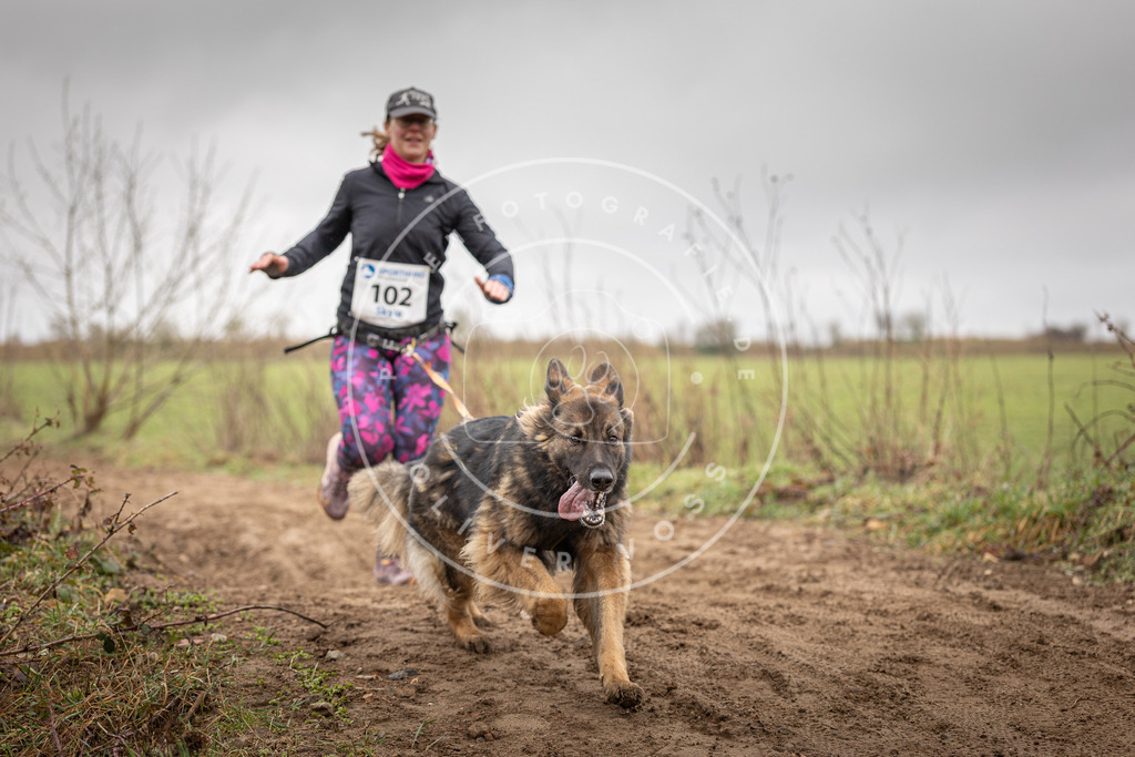DV3A0179 | Hundefotografie, Tierfotograf, Pfotenfotografie, Fotoshooting Hund, Hunde Portrait, Hundesport, Hundeportraits, Heideshooting, Hunde, Sportfotograf, Hundefotograf, Turnierhundsport, THS,  - Realisiert mit Pictrs.com