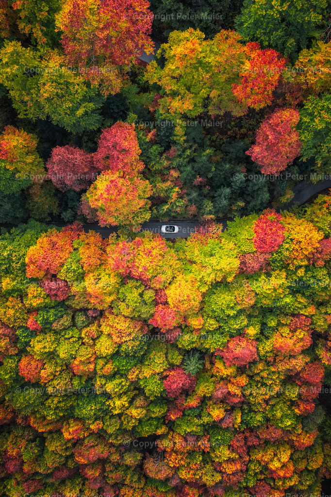 Sortiert_Foto-21673 | piet_flosse