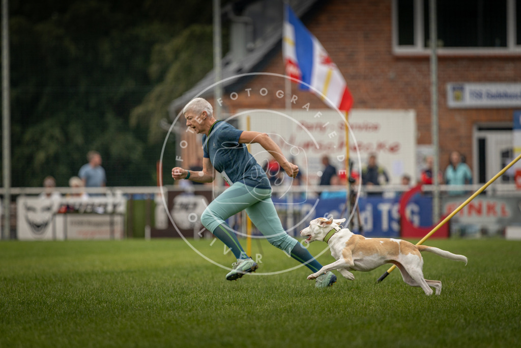 Pfotenfotografie_DV3A8253 | Hundefotografie, Tierfotograf, Pfotenfotografie, Fotoshooting Hund, Hunde Portrait, Hundesport, Hundeportraits, Heideshooting, Hunde, Sportfotograf, Hundefotograf, Turnierhundsport, THS,  - Realisiert mit Pictrs.com