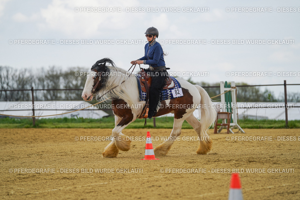 DSC06043 | Pferdegrafie