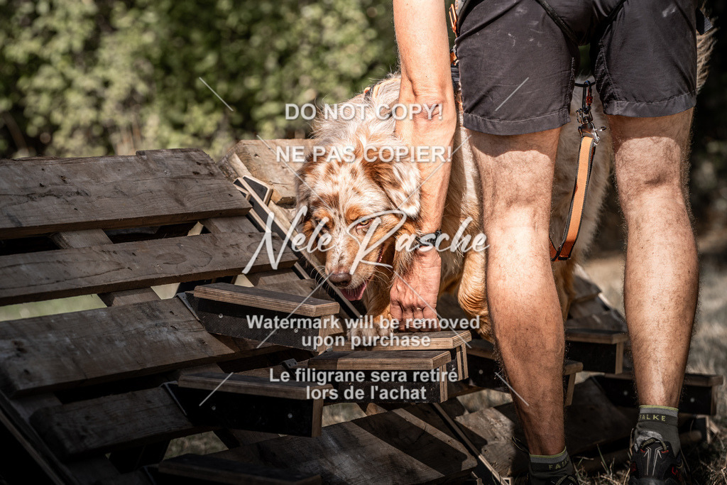 nelerasche_slaw24So_251 | nelerasche