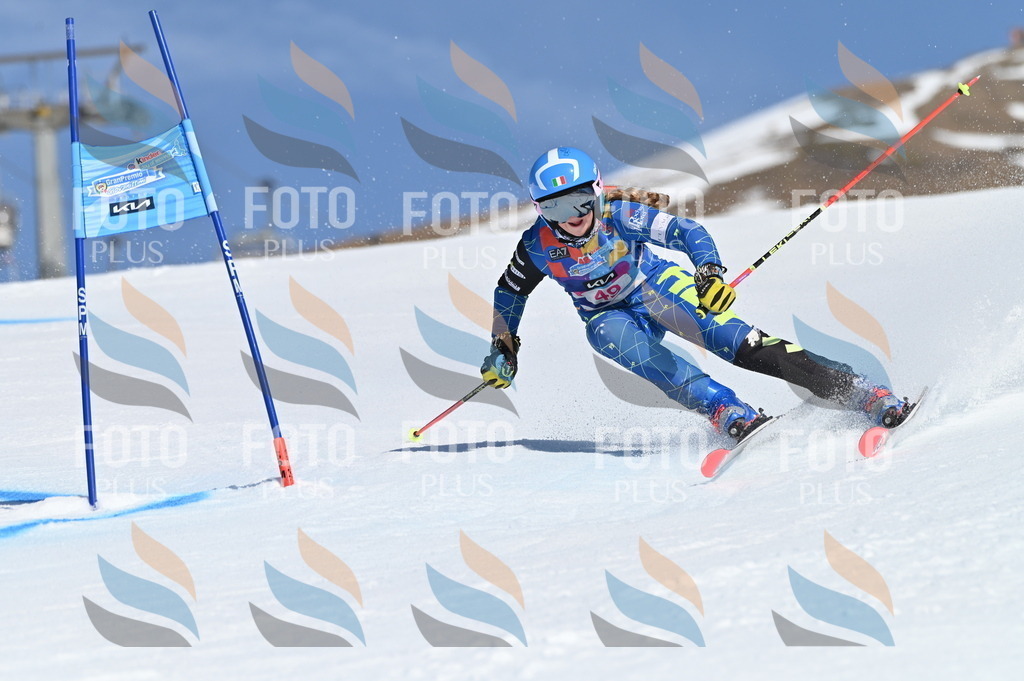 BGV_8516 | holidayphoto