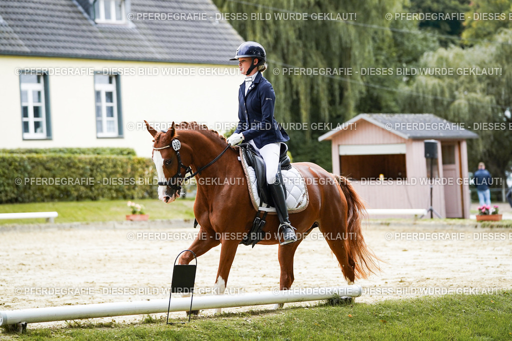 DSC07579 | Pferdegrafie