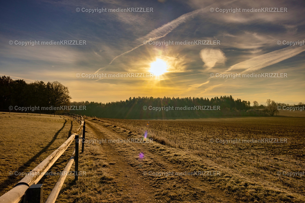 _J3A0173 | medienkrizzler - Realisiert mit Pictrs.com