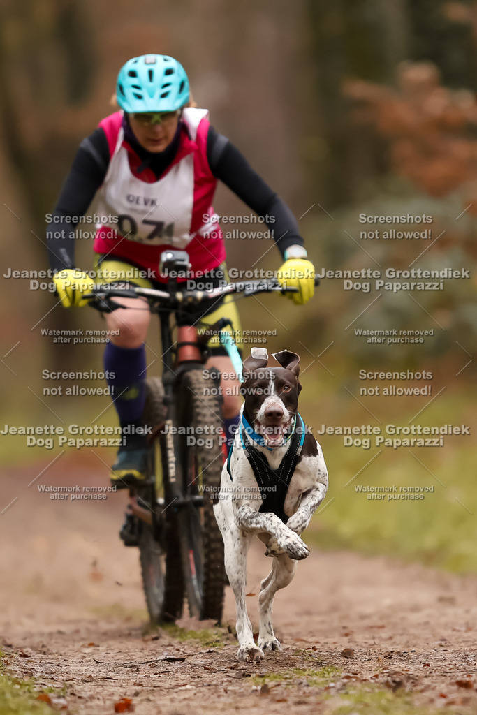Dog Paparazzi - Speedhunter Mannheim  2025-21 | Dog Paparazzi Jeanette Grottendiek Fotografie & Videografie