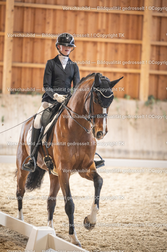 _D5A9010 | Emotionale Pferde- & People-Fotografie rund um Heidelberg, Leimen & Umgebung. Natürliche Fotos von Pferd, Mensch & Familie. Jetzt Termin sichern!