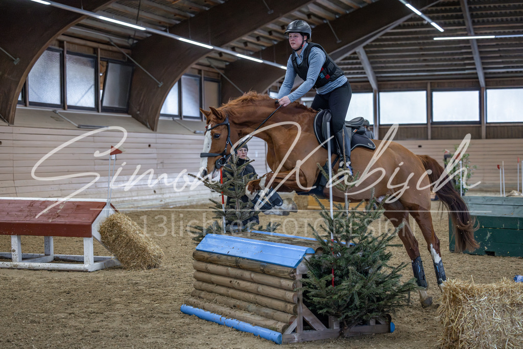 20260221-_3LI0058 | Tierfotografie Pferde, Hunde, Katzen, Haustiere.
Turnierfotografie Reitturniere, Reiten, Springreiten, Dressur in Hanau, dem Main-Kinzig-Kreis und dem Rhein-Main- Gebiet um Frankfurt