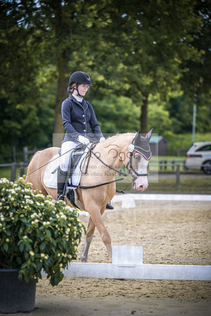DOS_8465 | Entdecke hochwertige Reitturnierfotos von Foto Oger. Professionell, emotional und authentisch – jetzt Lieblingsmomente im Shop bestellen.Deutschlandweite Turnierfotografie. - Realisiert mit Pictrs.com