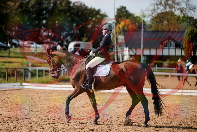 2026_10_03_Siefer-Hof_130513_Z63_68549054 | Professionelle Reitsport-, Turnier- und Eventfotografie von Robert Broda. Galerien mit ausgewählten und bearbeiteten Bildern direkt online ansehen und bestellen.