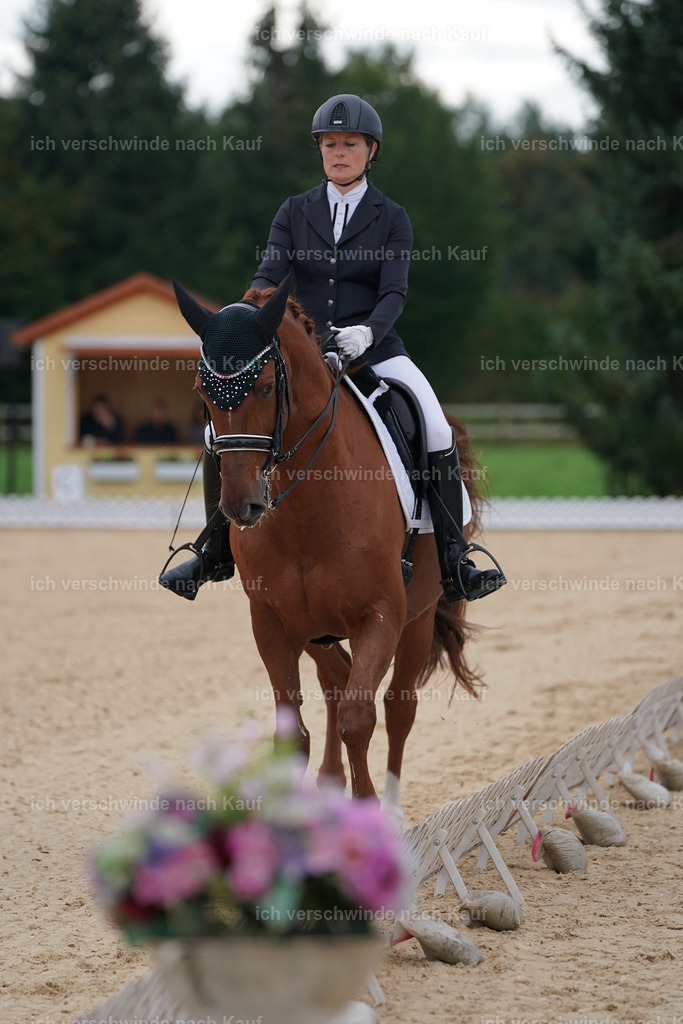 3-049-Dressur M_-Marixx-2223 | working equitationturnier fotograf videograf stoibphotography marixx film working equitation deutschland reitsport turnierfotografie eventfotografie equestrian events