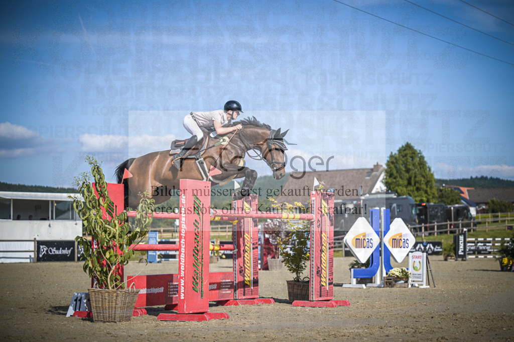 DOS_1533 | Entdecke hochwertige Reitturnierfotos von Foto Oger. Professionell, emotional und authentisch – jetzt Lieblingsmomente im Shop bestellen.Deutschlandweite Turnierfotografie. - Realisiert mit Pictrs.com