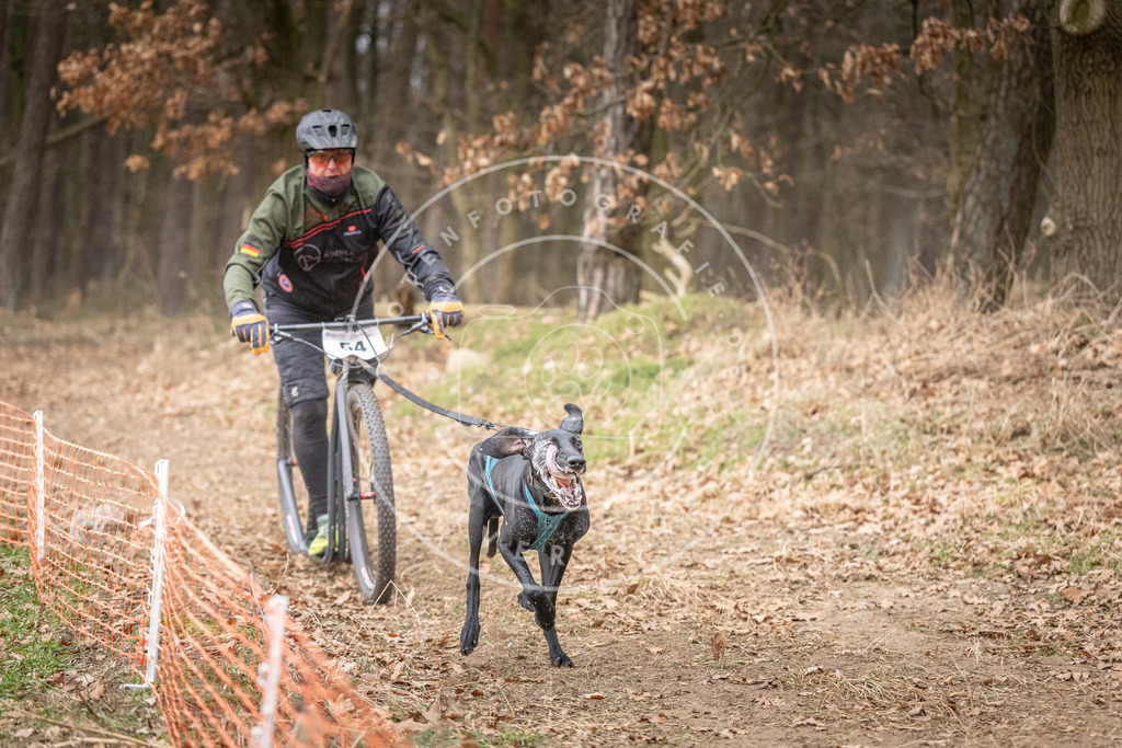 Pfotenfotografie_DV3A1504 | Hundefotografie, Tierfotograf, Pfotenfotografie, Fotoshooting Hund, Hunde Portrait, Hundesport, Hundeportraits, Heideshooting, Hunde, Sportfotograf, Hundefotograf, Turnierhundsport, THS,  - Realisiert mit Pictrs.com
