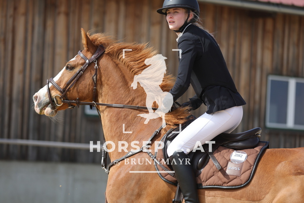 0P6A9599 | Willkommen bei Brunnmayr - Design & Fotografie – Ihrem Spezialisten für Reitturniere und Pferdeveranstaltungen in Oberösterreich, Salzburg und Bayern! Seit über 17 Jahren sind wir leidenschaftlich dabei.