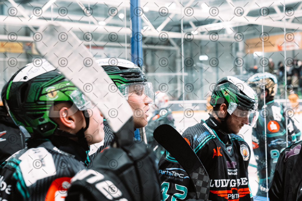 Alligators_vs_Fuessen_26.10.2025-062 | Höchstadt Alligators Fotogalerie: Eishockey-Action aus Franken. Professionelle Spielfotos, Portraits & Stadionbilder zum Download. Jetzt entdecken! - Realisiert mit Pictrs.com